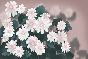 能否報(bào)考？