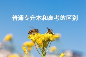 普通專升本和高考之間有什么差別？哪個更難考？