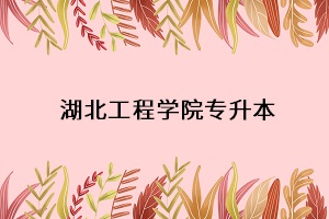 湖北工程學院專升本